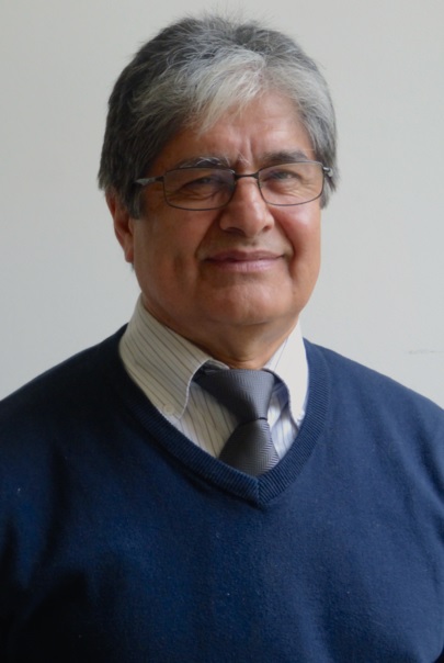 Prof. Manuel Rojas