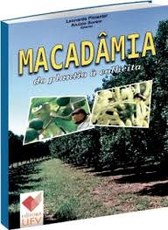 Macadâmia: do plantio à colheita