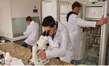 Alunos em laboratório