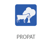 PROPAT.png