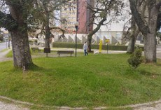 Largo da Galícia, no bairro Bigorrilho, é um dos jardinetes cuidados pelo projeto (Foto: Simone Crocetti).