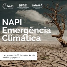 UTFPR participa do lançamento do NAPI (Novos Arranjos de Pesquisa e Inovação) em Emergência Climática, que acontece no dia 06 de junho. (Foto: divulgação)