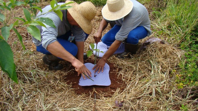 ESPECIALIZAÇÃO EM RESTAURAÇÃO FLORESTAL.jpg