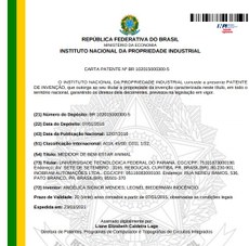 Carta de Patente do Instituto Nacional da Propriedade Industrial - INPI