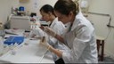 Pesquisadoras durante a realização das análises no laboratório de Biologia Molecular da UTFPR, Dois Vizinhos.