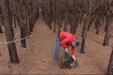 O professor Juan durante a coleta no Refúgio de Vida Silvestre dos Campos de Palmas