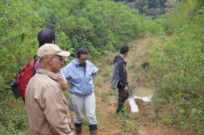 Os parceiros nos trabalhos de campo, professor Selvino Neckel de Oliveira e seus alunos nos trabalhos de campo em São Bento do Sul (SC), procurando locais propícios para a rã do folhiço (Cycloramphus diringshofeni).