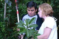 Professora Carla com um de seus alunos analisando uma das espécies do bosque