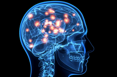 A pesquisa envolve simulações computacionais que possibilitam a descrição, em linguagem matemática, do processo biológico caracterizado pelo rearranjo das conexões neuronais