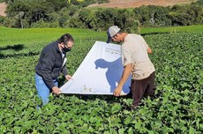 Previsão é usar o aplicativo em outras culturas (Foto: IDR)