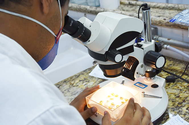 Laboratório da UTFPR no Câmpus Dois Vizinhos (Foto: Decom)