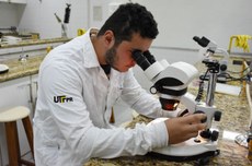 Pesquisador utiliza microscópio em laboratório do Câmpus Dois Vizinhos - Foto: Decom