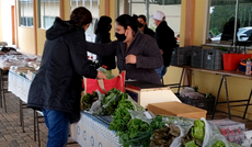 Feira sendo realizada em um dos bairros de Pato Branco