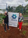 Palntio de Ipês. 23.09.21