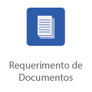 Requerimento de Documentos.png