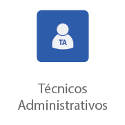 Técnicos administrativos.png