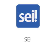 SEI.png